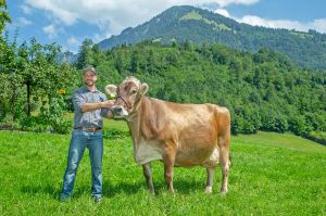 SANTARA CH 120.0467.5276.2 Lussi Sepp BVCH26432